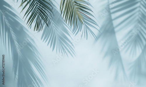 Palm Shadows on a Spring Blue Canvas
