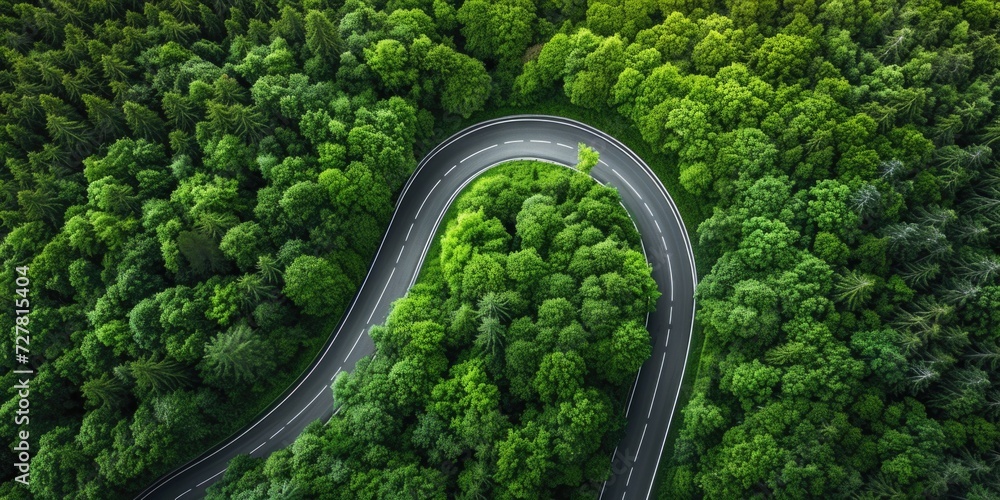 An aerial view of a winding road surrounded by trees in a peaceful forest. Perfect for nature or travel themes