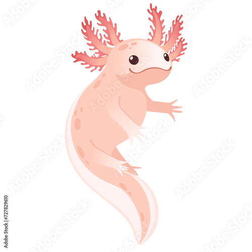 Cute cartoon axolotl pink color amphibian animal vector illustration isolated on white background