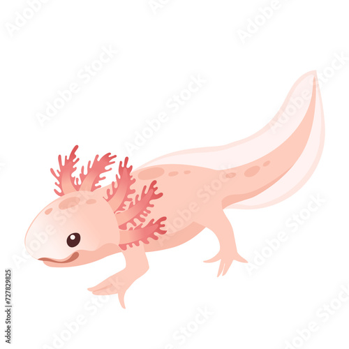 Cute cartoon axolotl pink color amphibian animal vector illustration isolated on white background