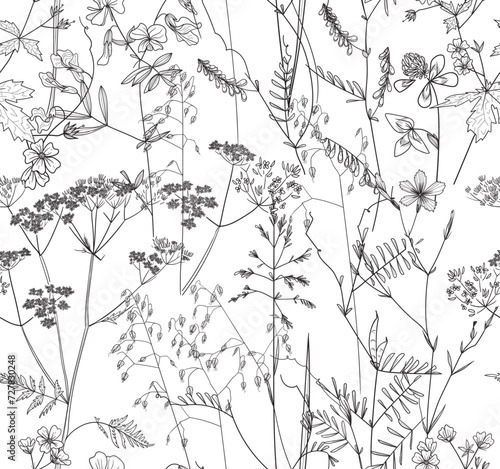 Seamless pattern. Field flowers and grasses, line drawing. Vector illustration	