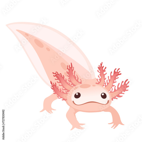 Cute cartoon axolotl pink color amphibian animal vector illustration isolated on white background