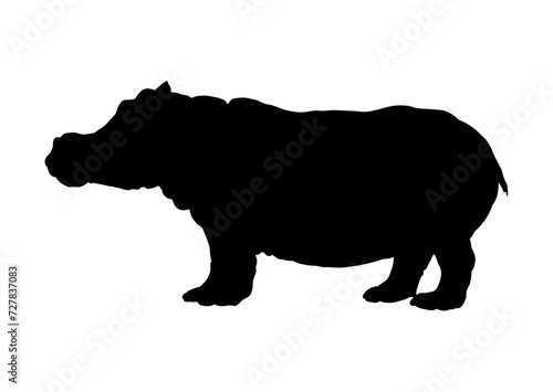 hippopotamus silhouette - vector illustration