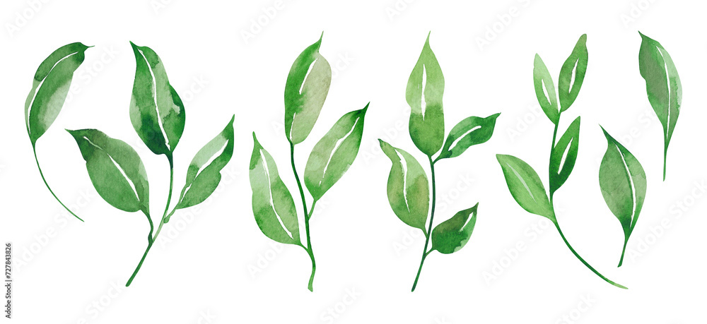 Watercolor green, mint, lilac wild leaves set. Isolated on white background. Hand drawn floral illustrations. For wallpaper, postcard, print, invitations, patterns, poster, packaging, linens