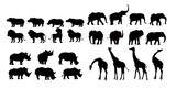 Set of African animals silhouettes, Elephant, hippopotamus, giraffe, rhinoceros, lion, different poses