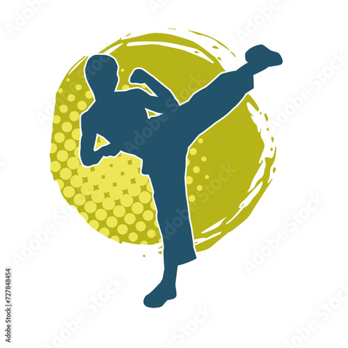 Silhouette of a male doing martial art kick pose. Silhouette of a martial art male doing kicking pose.
