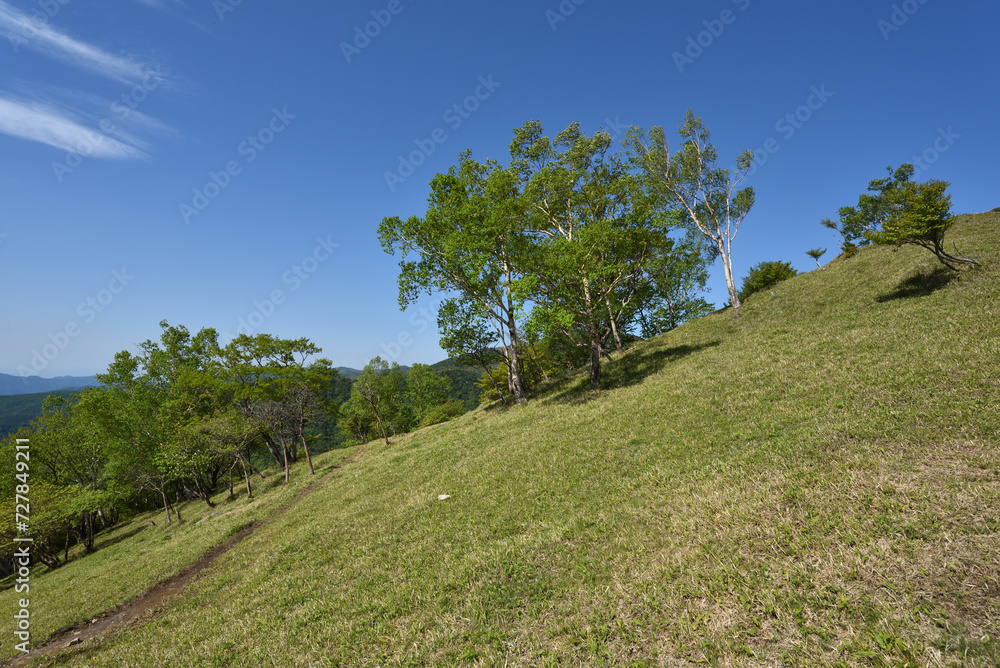 Climbing Mt. Nakakura, Tochigi, Japan