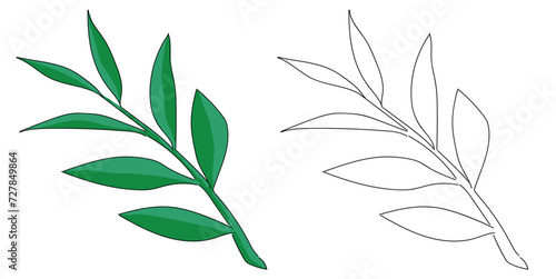 플랜테리어 보태니컬 잎사귀 일러스트