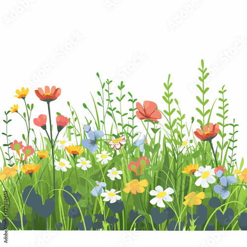 Wildflowers in a meadow