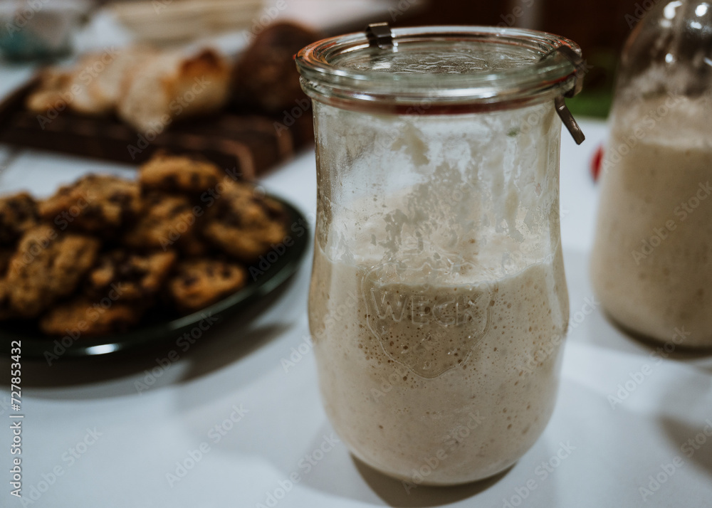 Sourdough Starter Sourdough Starter