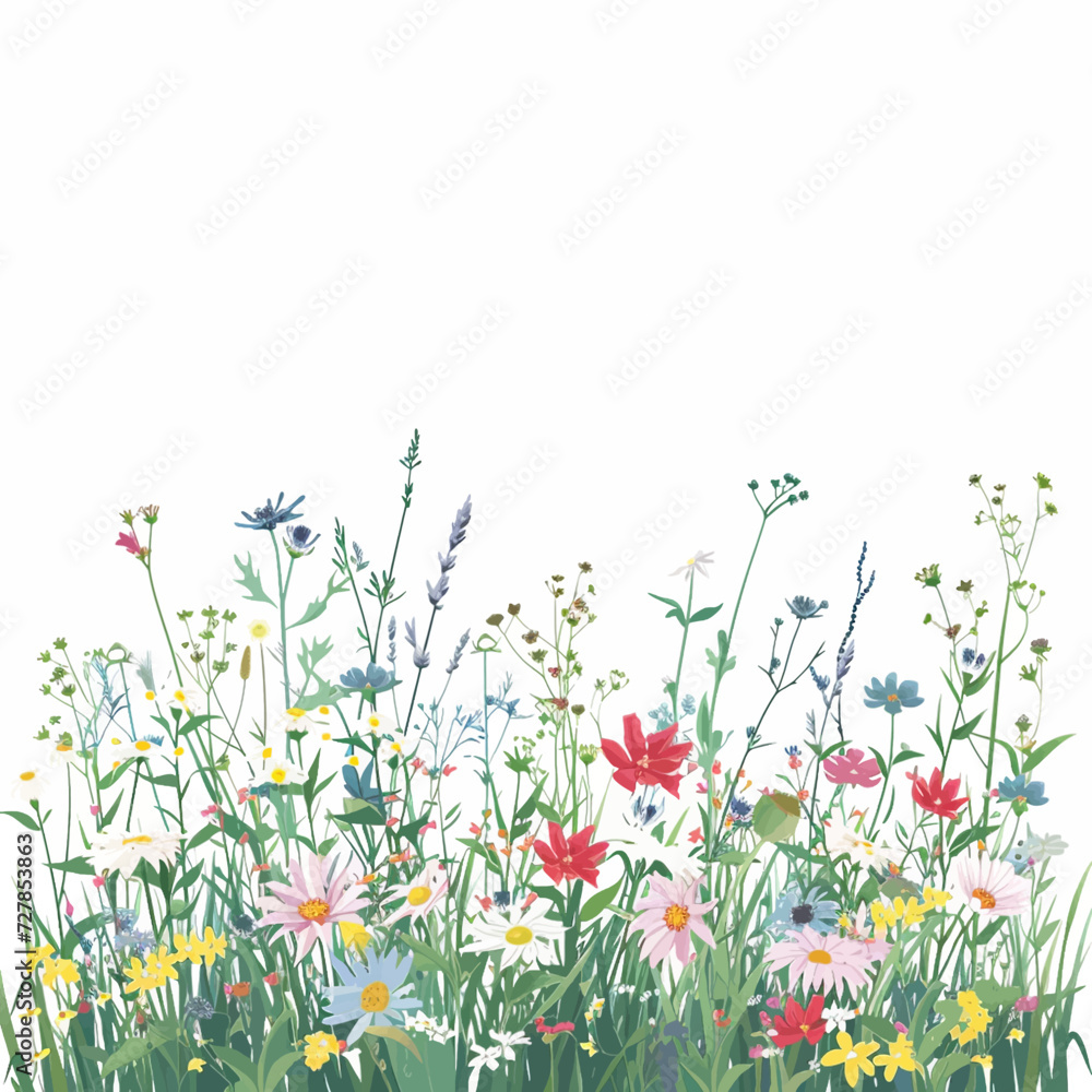 Calm Meadow with colorful wildflowers