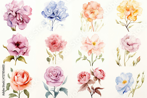 Watercolor flower collection suitable for home decor and stationery with a serene and tender romantic atmosphere featuring roses peonies and delicate blooms in soft hues