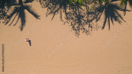 Aerial top down sand beach texture with palm trees shadows. Woman walking coastline, clear, ideal shore, relax, enjoy utdoor lifestyle travel on summer holiday vacation. Drone view shot. Background photo