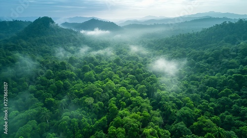 Canopy of Life: A Breathtaking Bird's-Eye View of a Dense Rainforest, Unveiling the Rich Biodiversity of an Earth Day Hotspot © Tessa