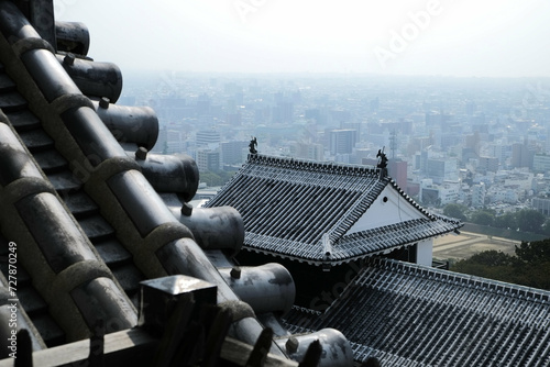 Japan castle