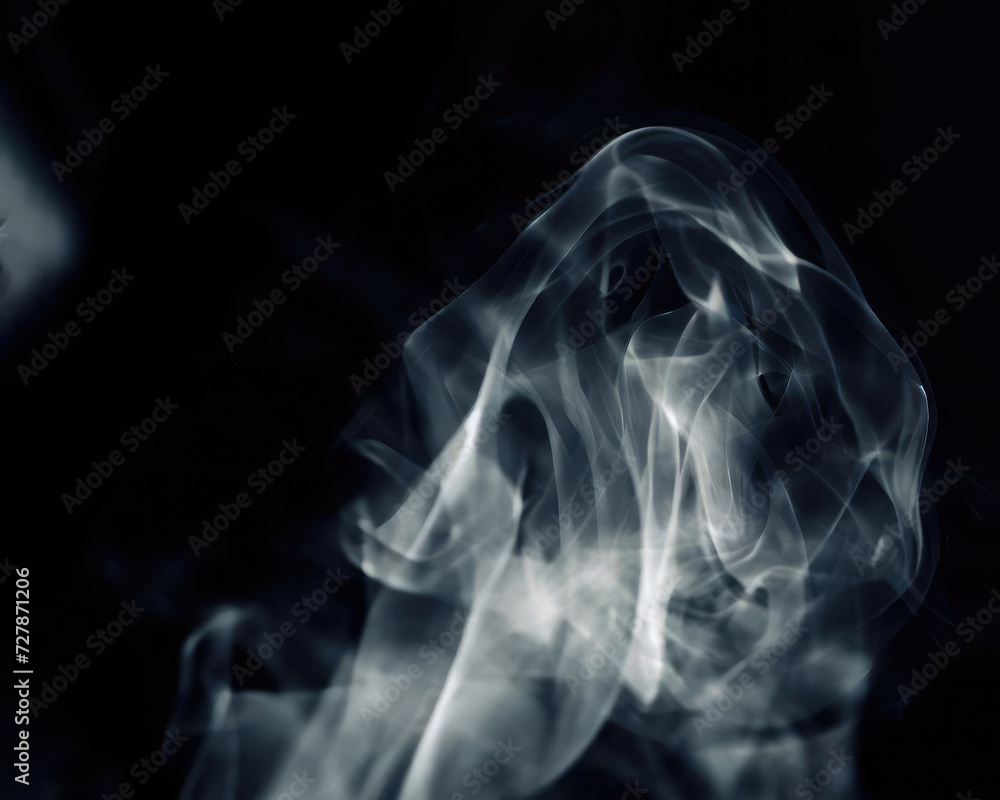 Fototapeta premium ghost smoke on a dark background