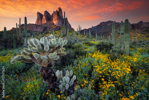 Tableau sur toile Superstition Mountains in Arizona