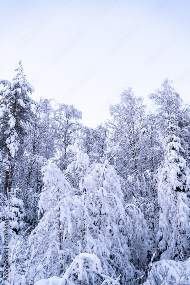 Winter time in snowy Rovaniemi Lapland, winterwonderland shortly before christmas season Winter time in snowy Rovaniemi Lapland, winterwonderland shortly before christmas season