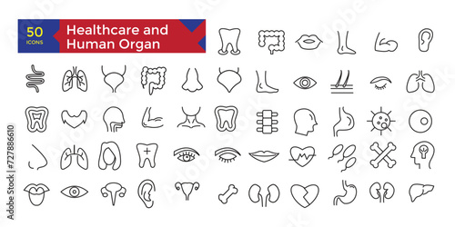 Healthcare hospital concept human organ anatomy icons set