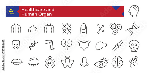 Healthcare hospital concept human organ anatomy icons set