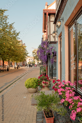 a blooming geranium in a pot at the entrance to the store. decoration of retail premises with plants. the design of the surrounding area. a beautiful store. Flower filled window boxes. Zelenogradsk