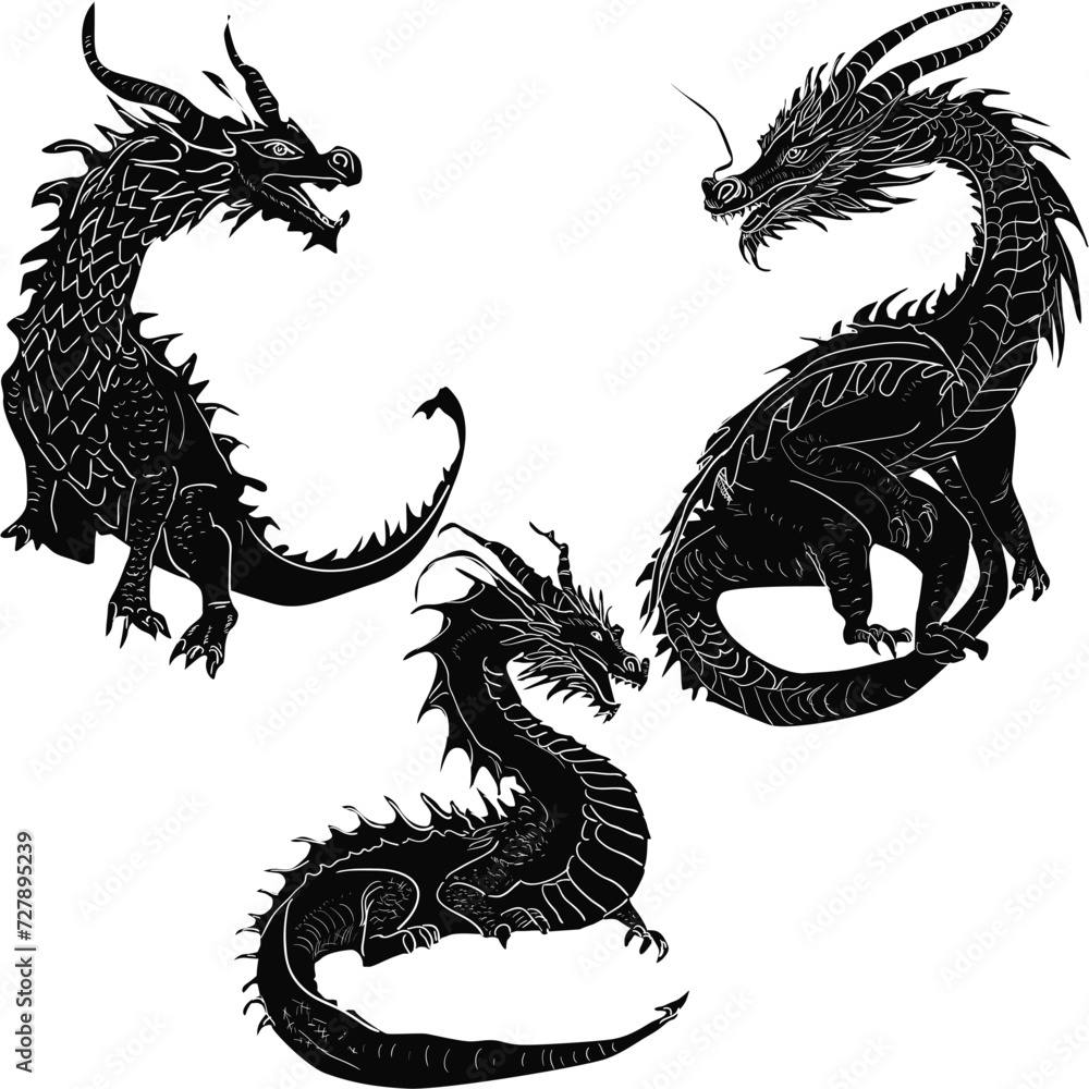 dragon three symbols isolated on white dragon three symbols isolated on white