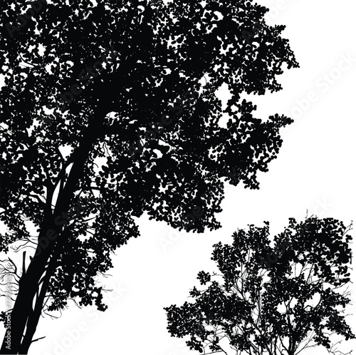 black isolated lush trees illustration