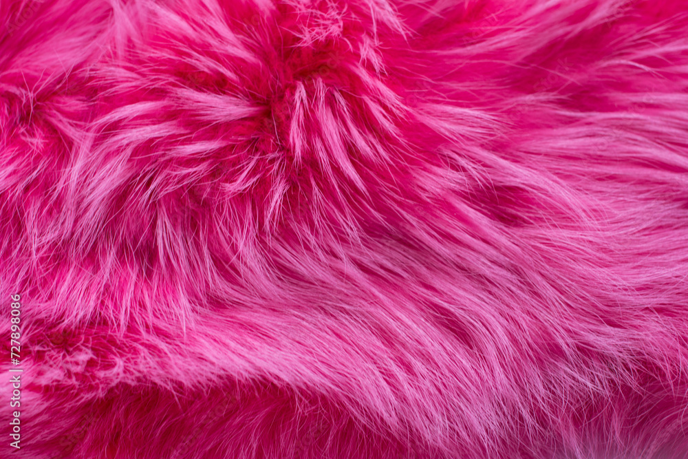 Fototapeta premium the texture of dyed fox fur. Natural animal skin
