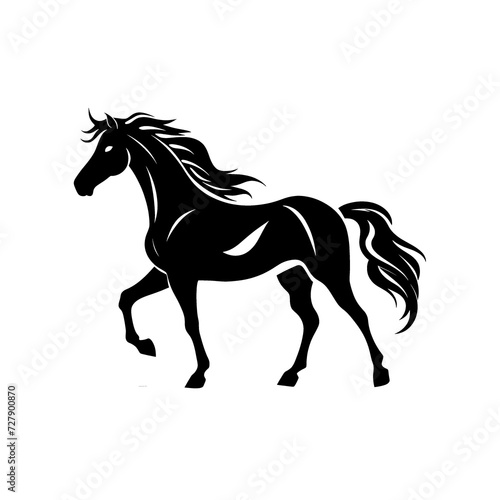 a black horse with long mane © ion
