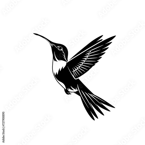 a black and white image of a hummingbird photo