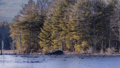 assabet river national wildlife refuge