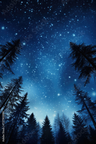 Starry night sky over serene pine forest perfect for inspiring astronomy backgrounds in education and for meditation ambiance