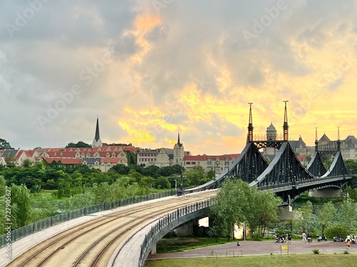 bridge and train over the river in the city 