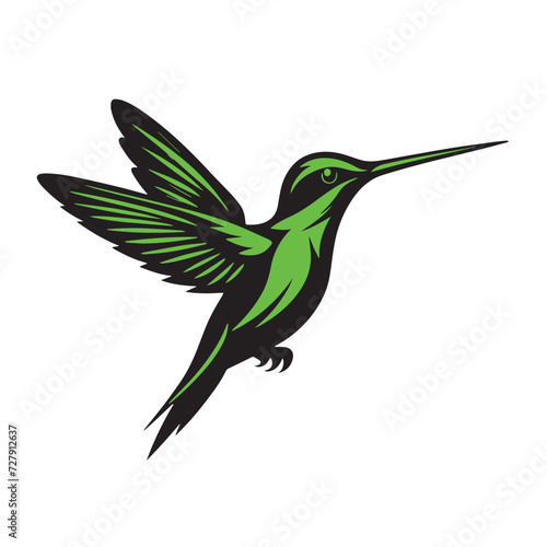 Hummingbird colored vector illustration  © Amiko