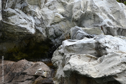 rock in water