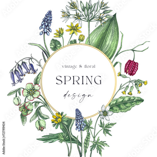 Elegant spring poster design. Wildflowers print in color. Woodland wild flower sketches. Floral background. Botanical card, invitation template . Hand drawn vector illustration, NOT AI