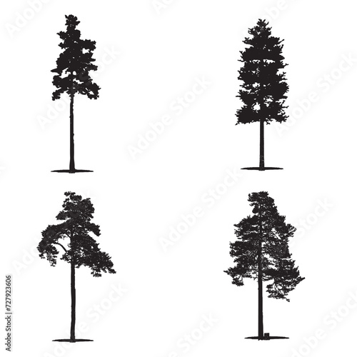 Tallest Tree Silhouette Tempalte Free