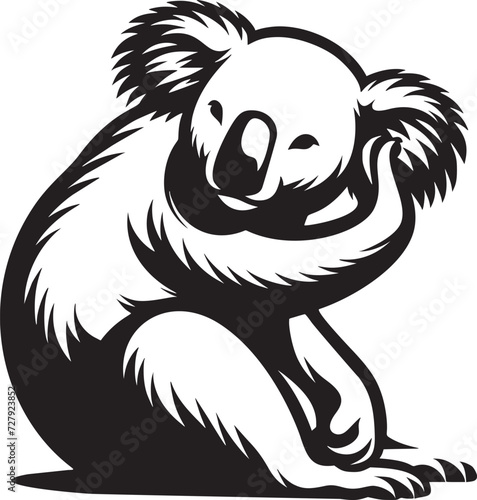 Photography Koala Comfort