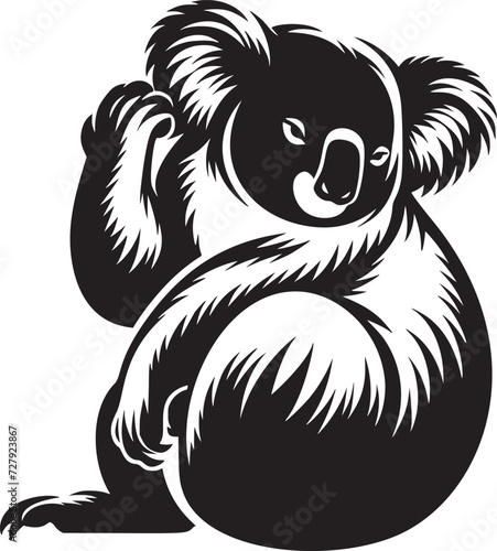 Photography Koala Comfort