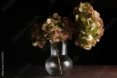 Mazzo di ortensie isolate su fondo scuro con fiori rosa e verde pallido; primo piano dei fiori recisi tra luci e ombre photo