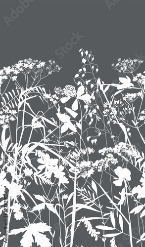 Fototapeta Naklejka Na Ścianę i Meble -  Seamless pattern. Field flowers and grasses, line drawing. Vector illustration