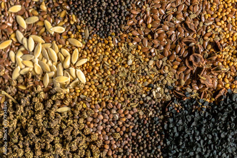 Obraz premium Seed assortment for planting and growing. Onion, beet, leek,turnip seeds view from the top