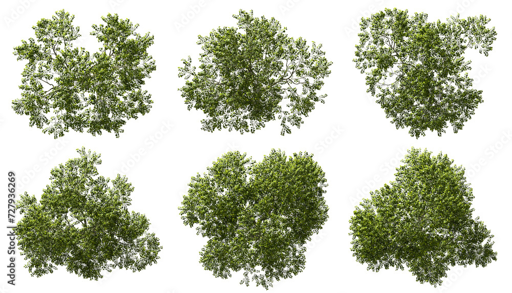 Aerial view greenery forest trees canopy cut out transparent backgrounds 3d render png - obrazy, fototapety, plakaty 