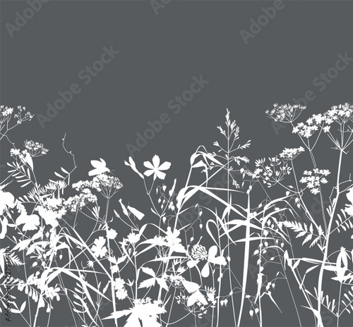 Seamless pattern. Field flowers and grasses, line drawing. Vector illustration