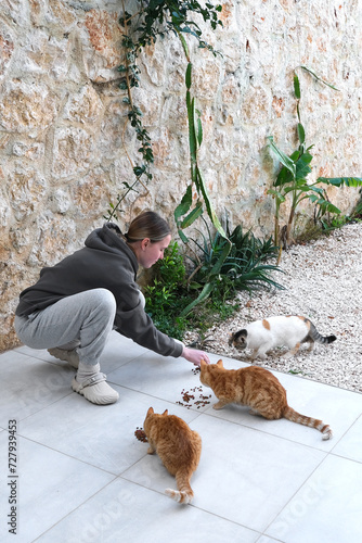 Canvas Print Colony of cats feeding