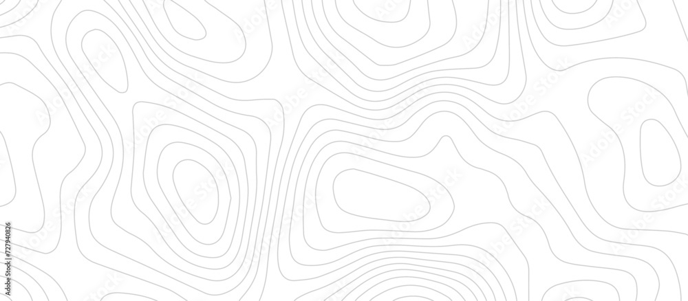 Abstract topographic Contour Map Subtle White Vector Background . Blank Detailed topographic patter line map background .Topographic Map Of Wild West Abstract Vector Background.	