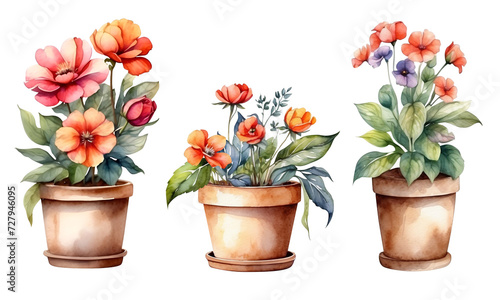 Fototapeta Naklejka Na Ścianę i Meble -  Collection set beautiful watercolor-style flower clipart in pots and plants, perfect for DIY cards, decorations, wedding invitations, illustrations, and more. on a transparent background. Generative A