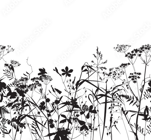 Seamless pattern. Field flowers and grasses, line drawing. Vector illustration	