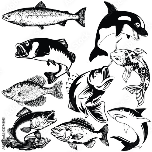 Vector fish vector art, graphics fishs icons set. vintage illustration fish clipart, vector fishs flat style artwork design