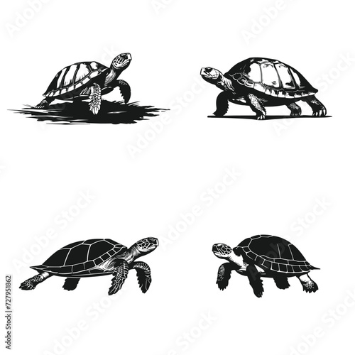 Turtle logo icon set premium silhouettes design